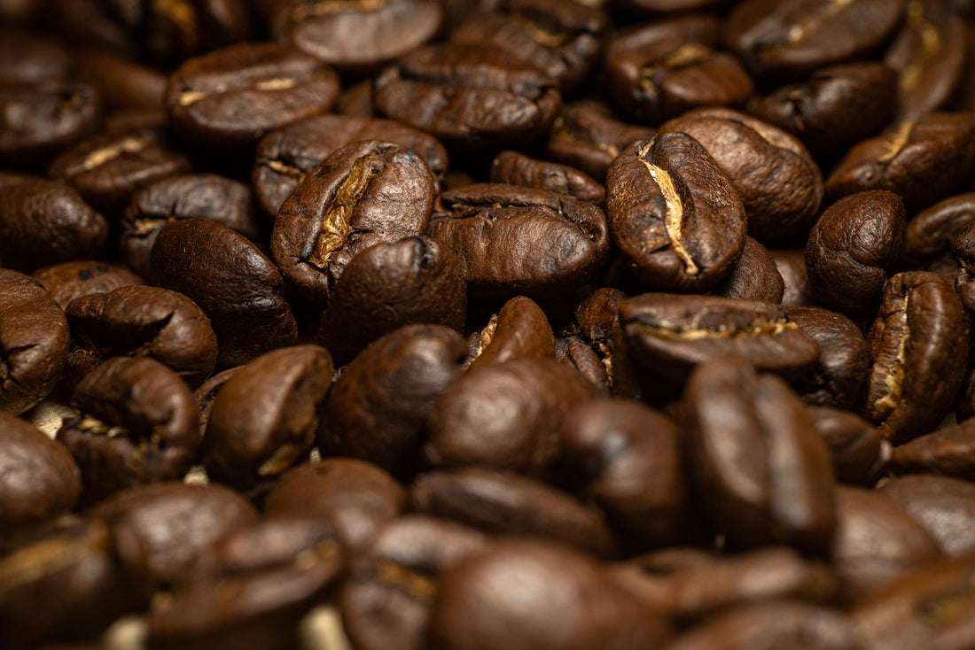 Close-up of dark roasted coffee beans