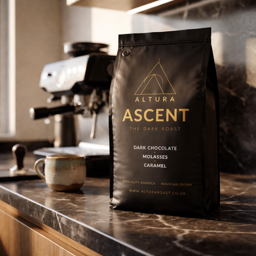 ALTURA // ASCENT