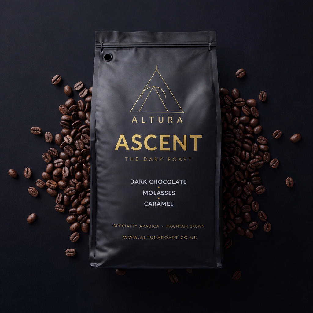 ALTURA // ASCENT